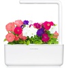 image:imageClick and Grow Smart Garden Petunia Plant Pods 3Pack